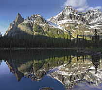 Cathedral Mountain and Mount Huber, Yoho National Park, British Columbia, Canada