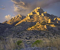Florida Mountains, Rockhound State Park, New Mexico