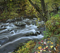 Little River, Great Smoky Mountains National Park, Tennessee