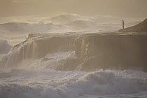 Man overlooking stormy surf on rocks, northern California