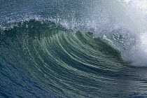 Close up of breaking wave