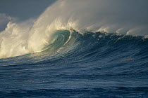 Breaking waves, Waimea shorebreak, Oahu, Hawaii