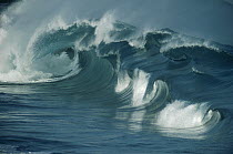 Breaking waves, Waimea shorebreak, North Shore, Oahu