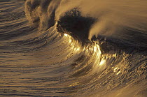 Waves, Baja California, Mexico