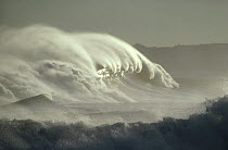 Waves, Baja California, Mexico
