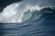 Breaking waves, Waimea shorebreak, Oahu, Hawaii