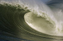 Breaking wave, Mavericks, Half Moon Bay, California