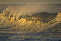 Large frothy breaking waves