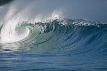 Waves, Waimea, Hawaii