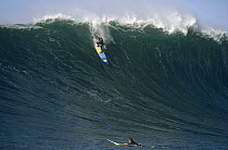 Surfer Jay Moriarty rides a Maverick wave, Half Moon Bay, California