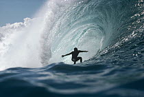 Surfer rides wave, Pipeline, Oahu, Hawaii