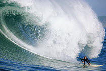 Evan Slater rides a huge wave at Mavericks, Half Moon Bay, California