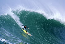 Peter Mell rides a wave at Mavericks, Half Moon Bay, California