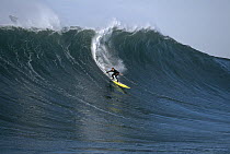 Mark Foo's last wave, Mavericks, Half Moon Bay, California