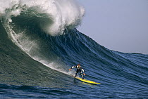 Surfer, Mavericks, Half Moon Bay, California