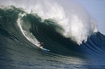Surfer Jay Moriarty rides a Maverick wave, Half Moon Bay, California