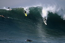 Surfers at Mavericks, Half Moon Bay, California