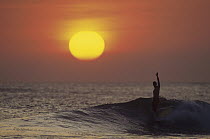 Surfer known as 'Wingnut, ' Costa Rica