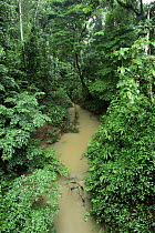 Stream in lowland rainforest, La Selva Biological Research Station, Costa Rica