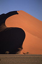 Sand dune and Sossusvlei, Namib-Naukluft National Park, Namibia