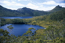 Lilla Lake and Dove Cradle Mountain landscape, Lake St. Clair National Park, Tasmania, Australia