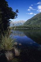 Lake Gunn, Fjordland National Park, South Island, New Zealand