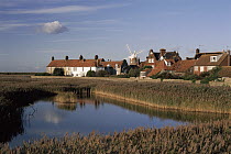 Reed beds on the outskirts of Cley-next-the-sea, Norfolk, England