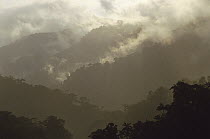 Misty Penas Blancas Valley, Monteverde Cloud Forest Reserve, Costa Rica