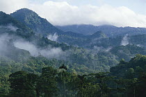 Penas Blancas Valley, Monteverde Cloud Forest Reserve, Costa Rica