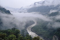 Gorge with cloud cover, Quijos River, Ecuador
