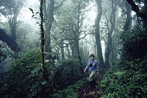 Brilliant trail with hiker, Monteverde Cloud Forest Reserve, Costa Rica
