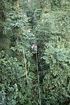 People in cable car viewing canopy of rainforest, Costa Rica