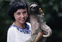 Brown-throated Three-toed Sloth (Bradypus variegatus) and Patricia Fogden in rainforest, Panama, Central America