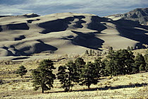 Great Sand Dunes National Monument, Colorado