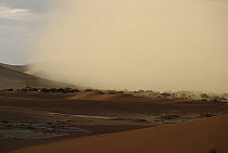 Sand storm over dunes, Sossusvlei, Namib-Naukluft National Park, Namibia