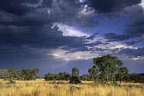Storm over the MacDonnell Ranges during the wet season, Northern Territory, Australia