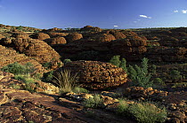 Sandstone domes, Watarrka National Park, King's Canyon, Northern Territory, Australia