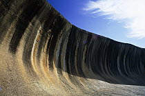 Wave rock, 15 meters high and 110 meters long curved granite cliff face stained with dissolved carbonates and iron hydroxide, approximately 2700 million years old, Western Australia