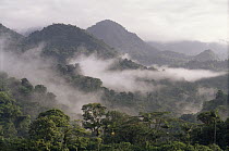 Misty morning over tropical rainforest in Penas Blancas Valley, Costa Rica