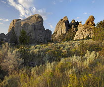 Shrubland and granite rock formations, Castle Rocks State Park, Idaho