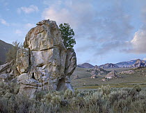 Head Rock, granite formation, City of Rocks National Reserve, Idaho
