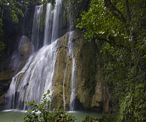 Kawasan Falls, Bohol Island, Philippines