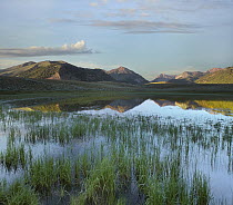 Pond reflecting Boulder Mountains, Idaho