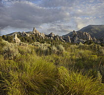 Shrubland and granite formations, Castle Rocks State Park, Idaho