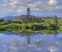 Pond reflecting Easely Peak, Sawtooth National Recreation Area, Idaho