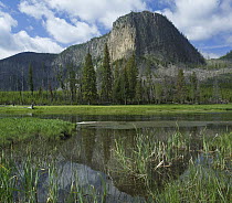 Mount Hayden and Madison River, Yellowstone National Park, Wyoming