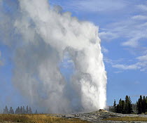 Old Faithful geyser spouting, Yellowstone National Park, Wyoming
