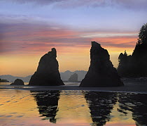 Seastacks silhouetted at sunset, Ruby Beach, Olympic National Park, Washington