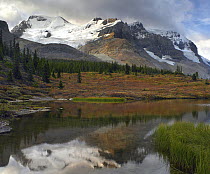 Saskatchewan Glacier, Mount Athabasca, and Mount Andromeda, Jasper National Park, Alberta, Canada