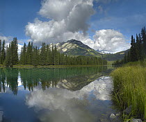 Bow River and Sawback Range, Banff National Park, Alberta, Canada
